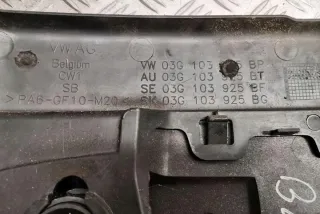 03G103925BG Декоративная крышка двигателя Volkswagen Passat B7 Арт e12351027, вид 1