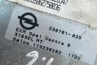 173238202 Блок управления двигателем Opel Vectra B Арт e12319797, вид 1