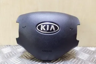 569003U100 Подушка безопасности Kia Sportage 5 Арт e12311902, вид 2