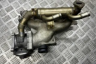 038131513K Радиатор EGR Skoda Roomster 1 Арт e12303690, вид 1