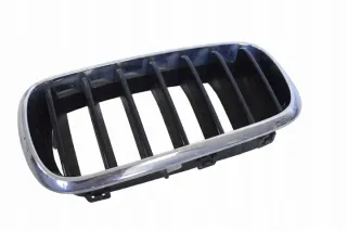 7316075 Решетка радиатора BMW X6 F16 Арт e12290040, вид 1