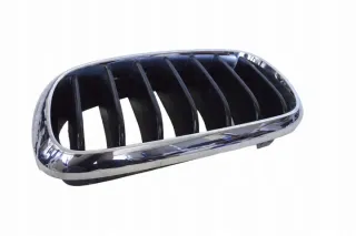7316075 Решетка радиатора BMW X6 F16 Арт e12290040, вид 2