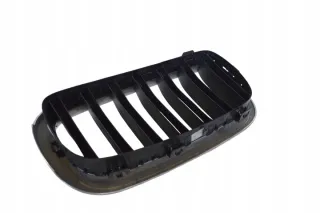 7316075 Решетка радиатора BMW X6 F16 Арт e12290040, вид 3