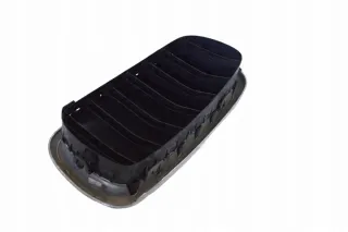 7316075 Решетка радиатора BMW X6 F16 Арт e12290040, вид 4