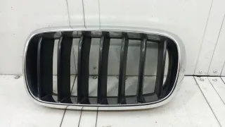 7316075 Решетка радиатора BMW X5 F15 Арт e12290029, вид 1