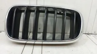 7316075 Решетка радиатора BMW X5 F15 Арт e12290029, вид 2