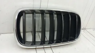 7316075 Решетка радиатора BMW X5 F15 Арт e12290029, вид 3