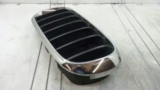 7316075 Решетка радиатора BMW X5 F15 Арт e12290029, вид 4