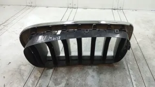 7316075 Решетка радиатора BMW X5 F15 Арт e12290029, вид 6