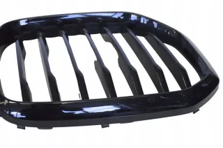 7454888 Решетка радиатора BMW X5 G05  Арт e12290027, вид 2