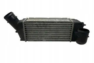 9656897180 Интеркулер Citroen C4 2 Арт e12270749, вид 1