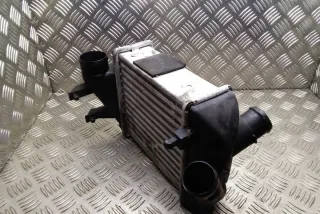 8E0145805P Интеркулер Audi A4 B6 Арт e12269792, вид 2