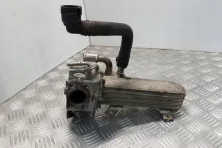 038131513AD Радиатор EGR Volkswagen Passat B5 Арт e12268768, вид 3