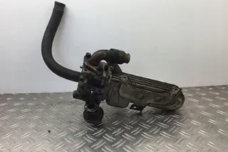 038131513AD Радиатор EGR Seat Toledo 4 Арт e12268498, вид 1