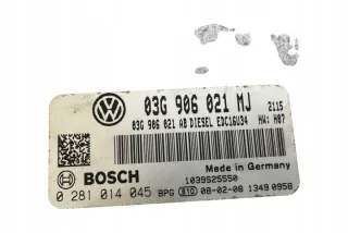 03G906021MJ Блок управления двигателем Volkswagen Touran 1 Арт e12245768, вид 5