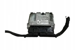 0281013440 Блок управления двигателем Volkswagen Passat B7 Арт e12245570, вид 1