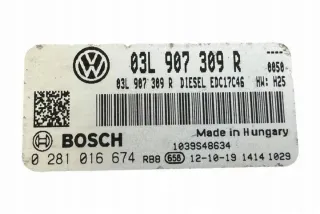 03L907309R Блок управления двигателем Volkswagen Caddy 3 Арт e12245087, вид 4