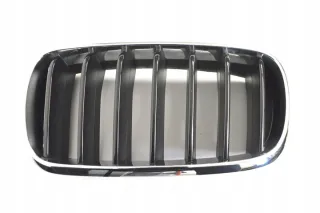 7316075 Решетка радиатора BMW X5 F15 Арт e12238555, вид 1