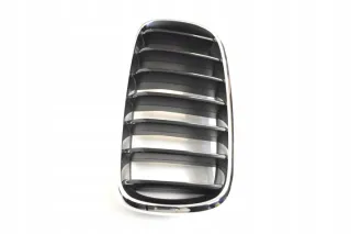 7316075 Решетка радиатора BMW X5 F15 Арт e12238555, вид 2