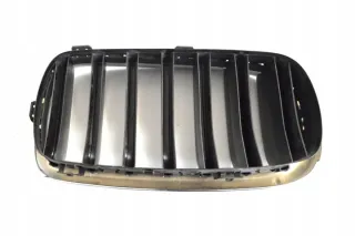 7316075 Решетка радиатора BMW X5 F15 Арт e12238555, вид 3