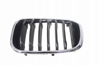 7464921 Решетка радиатора BMW X4 G02 Арт e12238536, вид 1