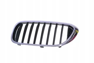 7390865 Решетка радиатора BMW 5 G30/G31 Арт e12238278, вид 1