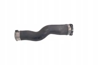 S21109A Гофра инжектора BMW 5 F10/F11/GT F07 Арт e12233409, вид 1