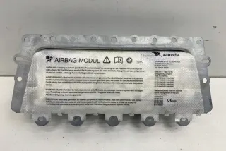 39923039901 Подушка безопасности BMW 5 F10/F11/GT F07 Арт e12225338, вид 2