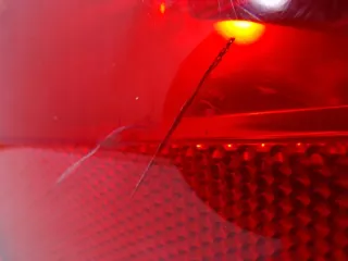  Фонарь задний левый Renault Clio 3 Арт e12205801, вид 4