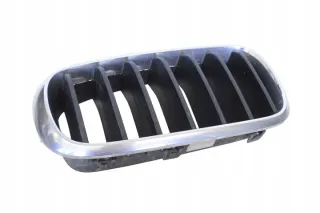 7316076 Решетка радиатора BMW X5 F15 Арт e12199490, вид 1