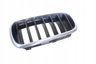 7316075 Решетка радиатора BMW X5 F15 Арт e12199489, вид 1