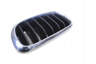 7316075 Решетка радиатора BMW X5 F15 Арт e12199489, вид 2
