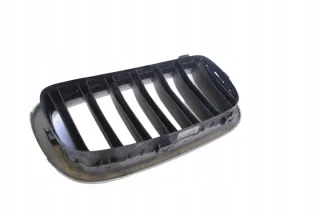 7316075 Решетка радиатора BMW X5 F15 Арт e12199489, вид 3