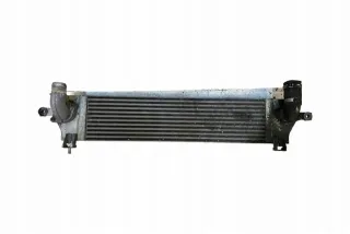 14461JD50A Интеркулер Nissan Qashqai 2 Арт e12193173, вид 1