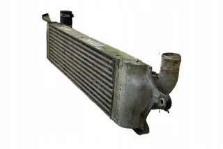 14461JD50A Интеркулер Nissan Qashqai 2 Арт e12193173, вид 4