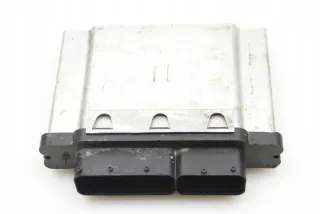 04E907309AF Блок управления двигателем Seat Ibiza 4 Арт e12173127, вид 1