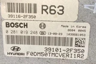 0281019248 Блок управления двигателем Hyundai Santa FE 3 (DM) Арт e12170476, вид 6