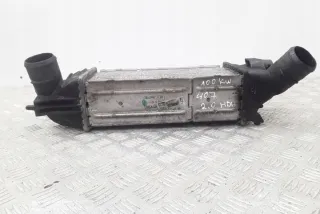 9645682880 Интеркулер Citroen C5 2 Арт e12125754, вид 6