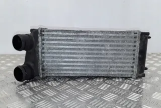 3AC 9648551880 Интеркулер Citroen C3 2 Арт e12125719, вид 7