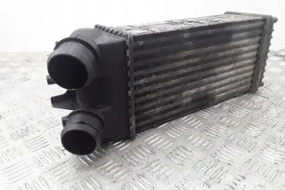 9645965180 Интеркулер Citroen Berlingo 1 Арт e12125714, вид 2