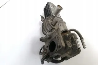 038131513AD Радиатор EGR Seat Altea Арт e12124839, вид 2