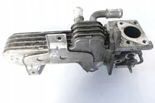 038131513AD Радиатор EGR Seat Altea Арт e12124828, вид 1