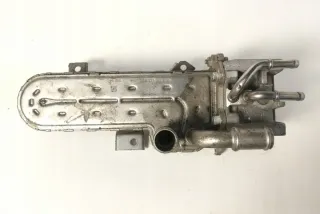 038131513AD Радиатор EGR Seat Altea Арт e12124828, вид 3