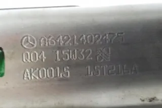 W222, A6421402475 Радиатор EGR Mercedes E C207 Арт e12123686, вид 1