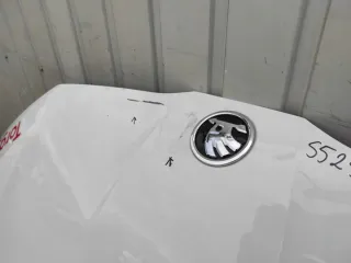 PAW2125 Капот Skoda Scala Арт e12090455, вид 3