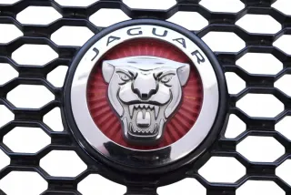 BHK838B271AA Решетка радиатора Jaguar F-Pace Арт e12087538, вид 7