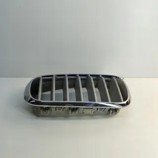 7316076 Решетка радиатора BMW X5 F15 Арт e12086456, вид 2