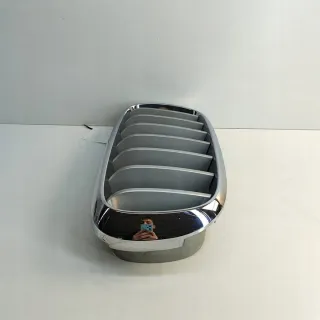 7316076 Решетка радиатора BMW X5 F15 Арт e12086456, вид 5