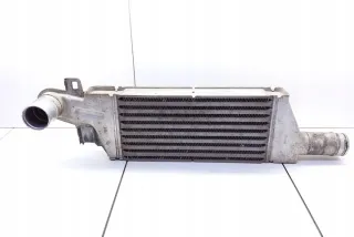 24427069 Интеркулер Opel Combo C Арт e12069056, вид 2