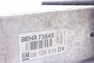 F48_, 9129519 Интеркулер Opel Astra L Арт e12069035, вид 4